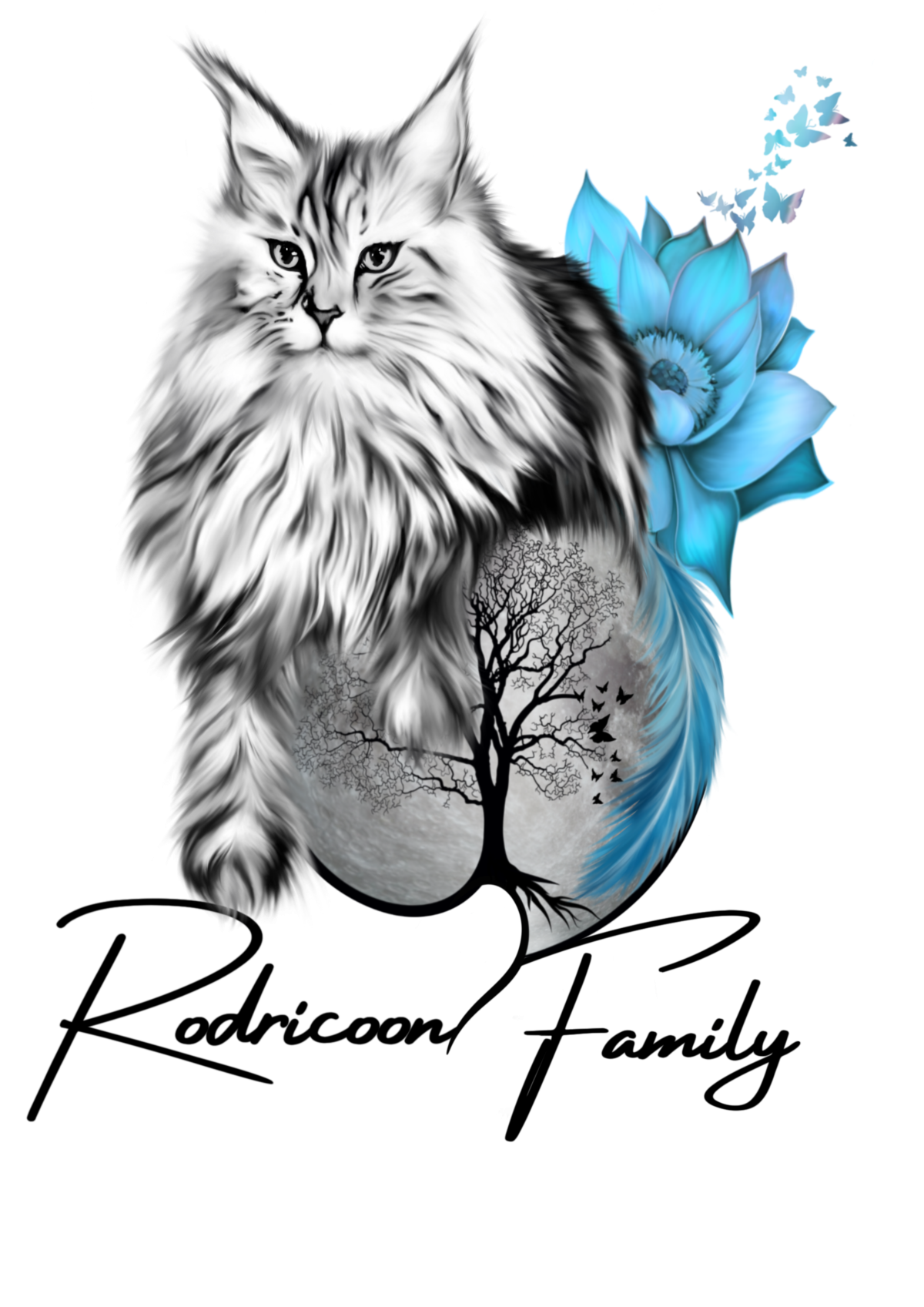 RODRICOON FAMILY ELEVAGE DE MAINE COON